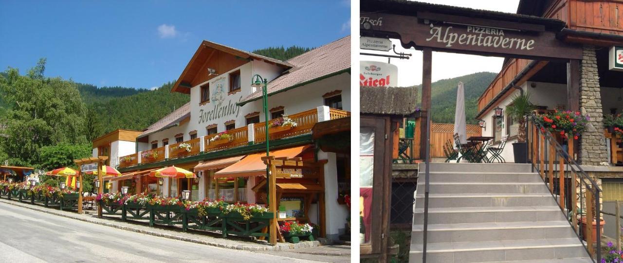 Haus Lenz Ferienwohnungen - Fam Ostermann Puchberg am Schneeberg Luaran gambar