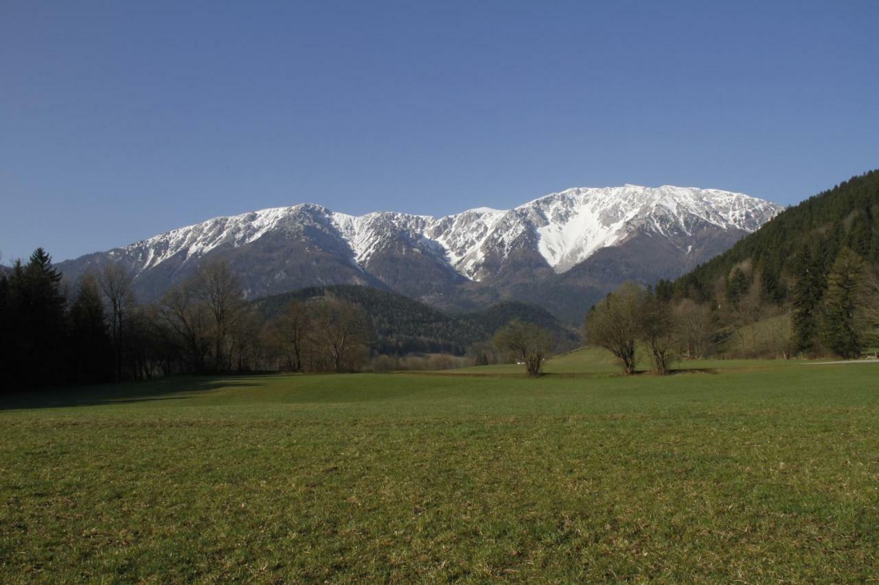 Haus Lenz Ferienwohnungen - Fam Ostermann Puchberg am Schneeberg Luaran gambar